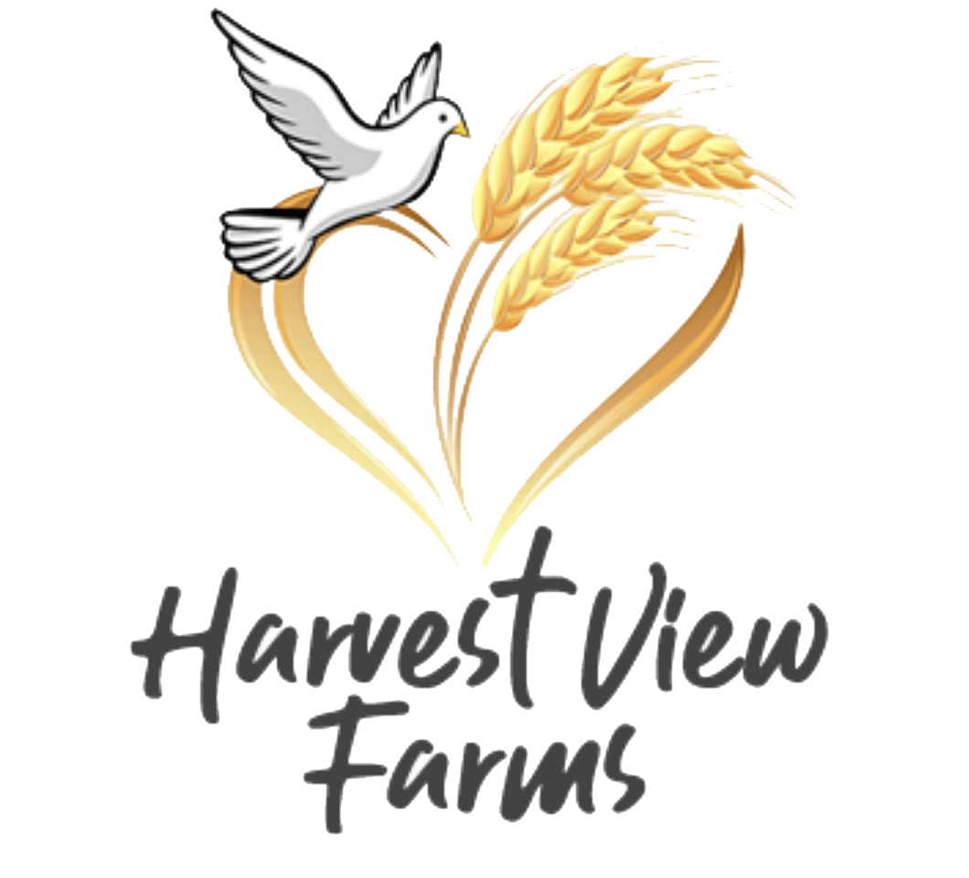 Logo belonging to Harvest View Farms Weddings & Gatherings providing wedding solutions in Sperry, IA. Contact us (319)-572-1867.